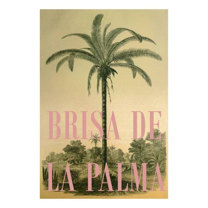 Brisa depalma1467252_1387779641470081_1639898245_n