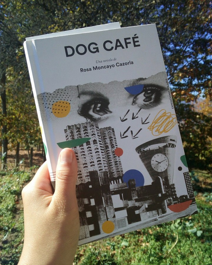 22829708_1068375873265817_8800689273180000879_o